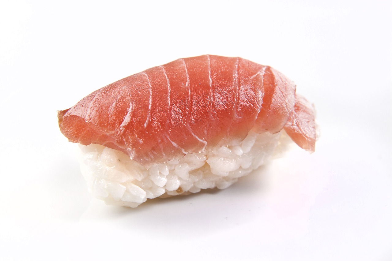 salmon, fish, nigiri